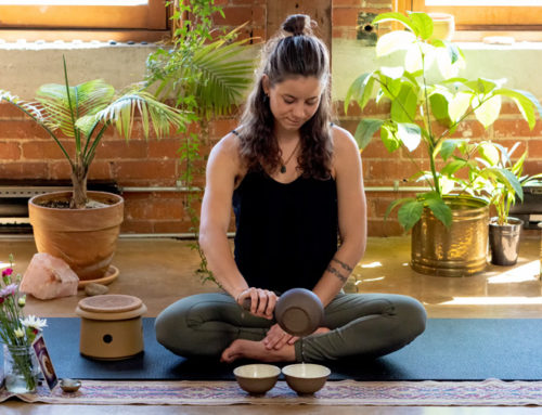 Medicine NEST’S Story